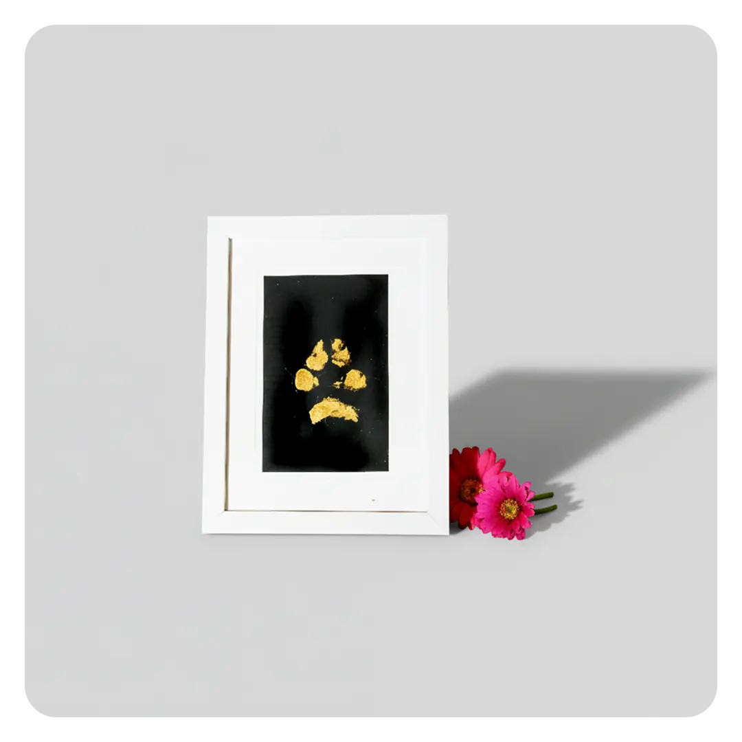 A selection of 2 framed prints + a framed paw casting